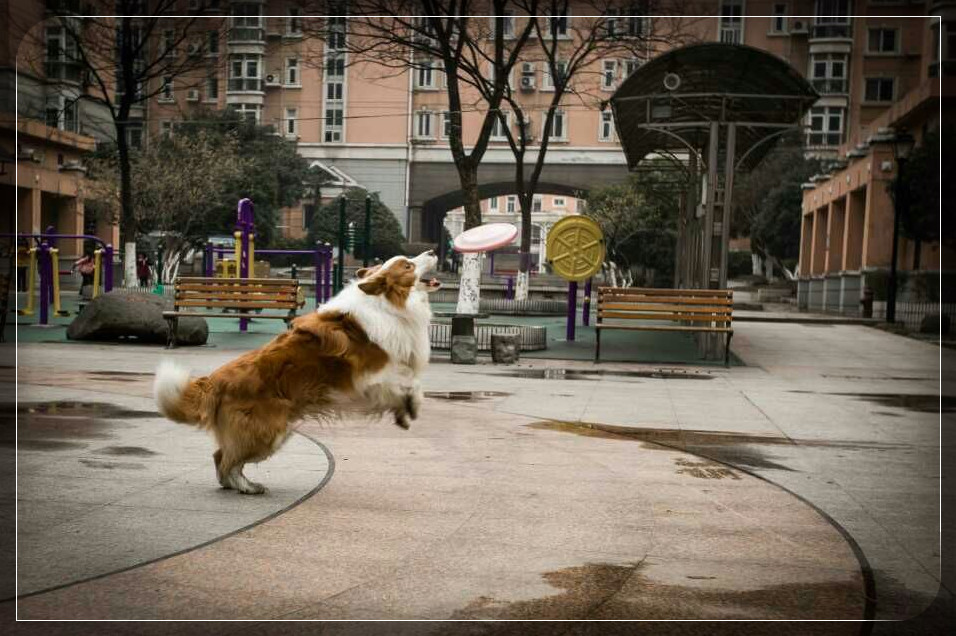 ͼƬ