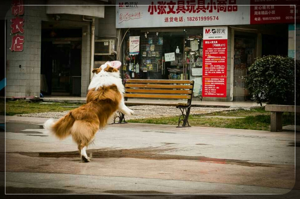 ͼƬ