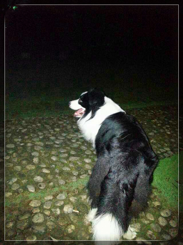 ͼƬ