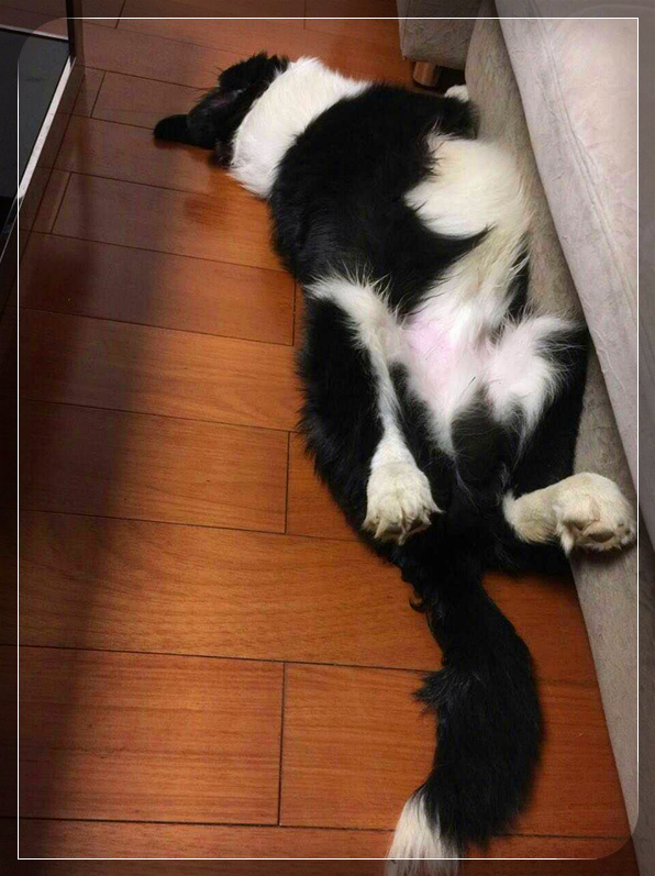 ͼƬ