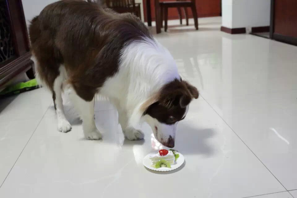 ͼƬ