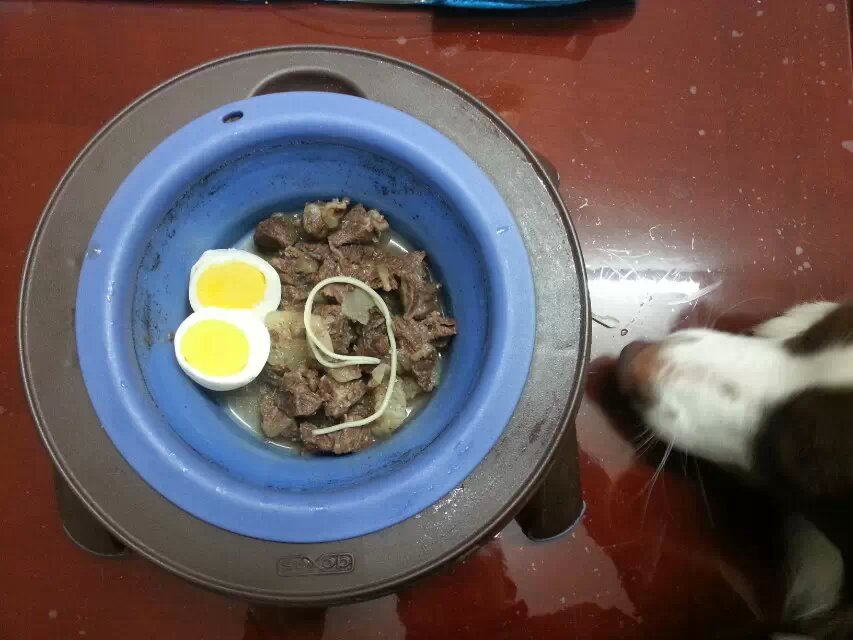 ͼƬ