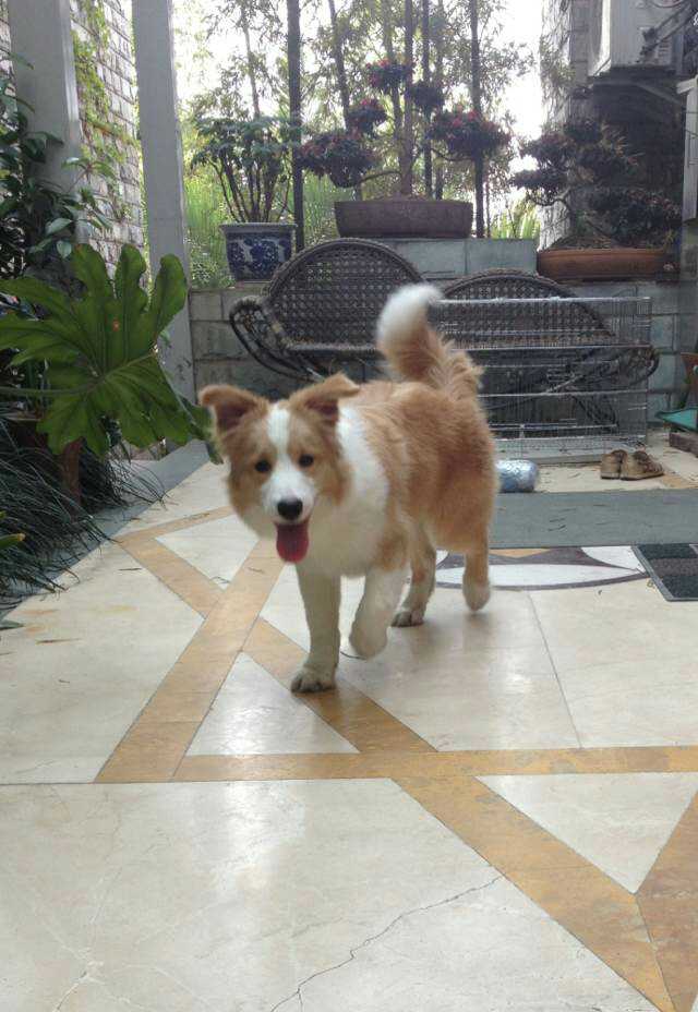 ͼƬ