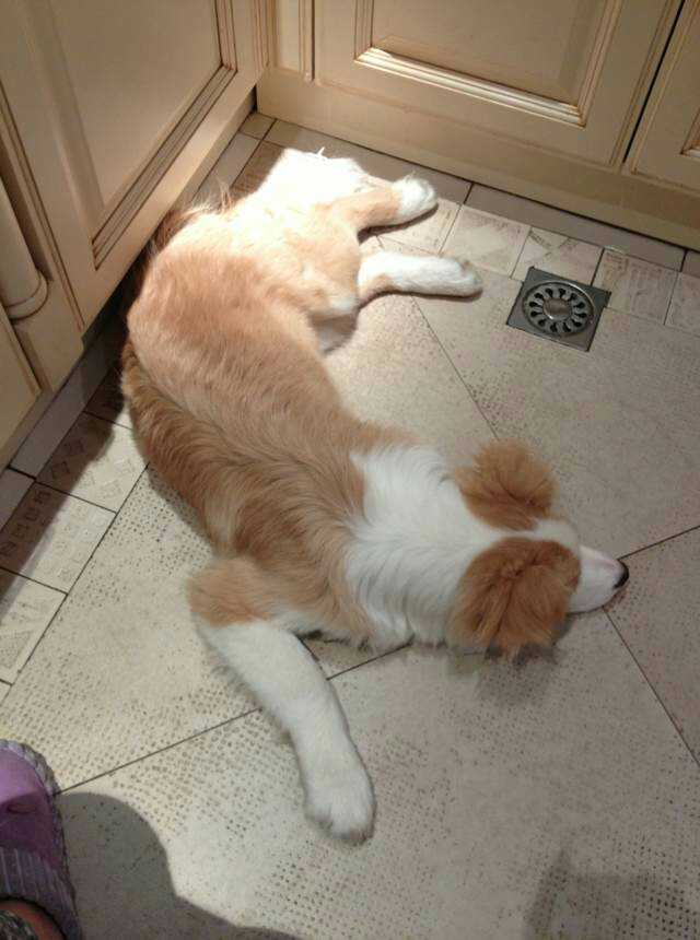 ͼƬ