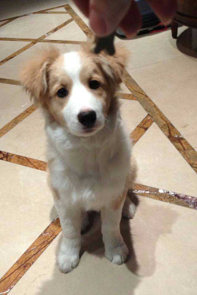 ͼƬ
