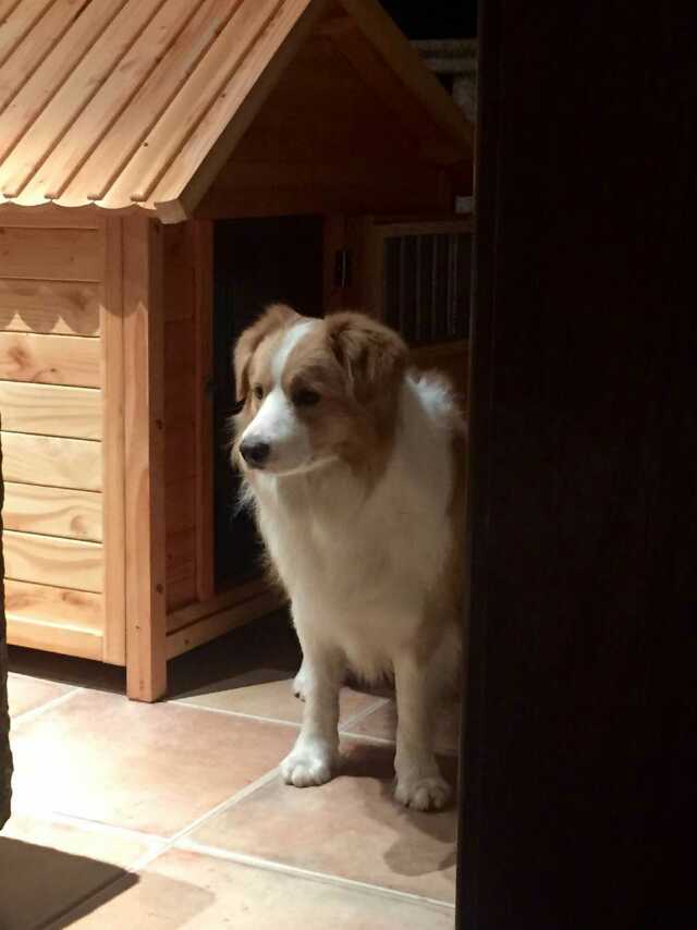 ͼƬ