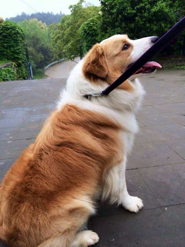ͼƬ
