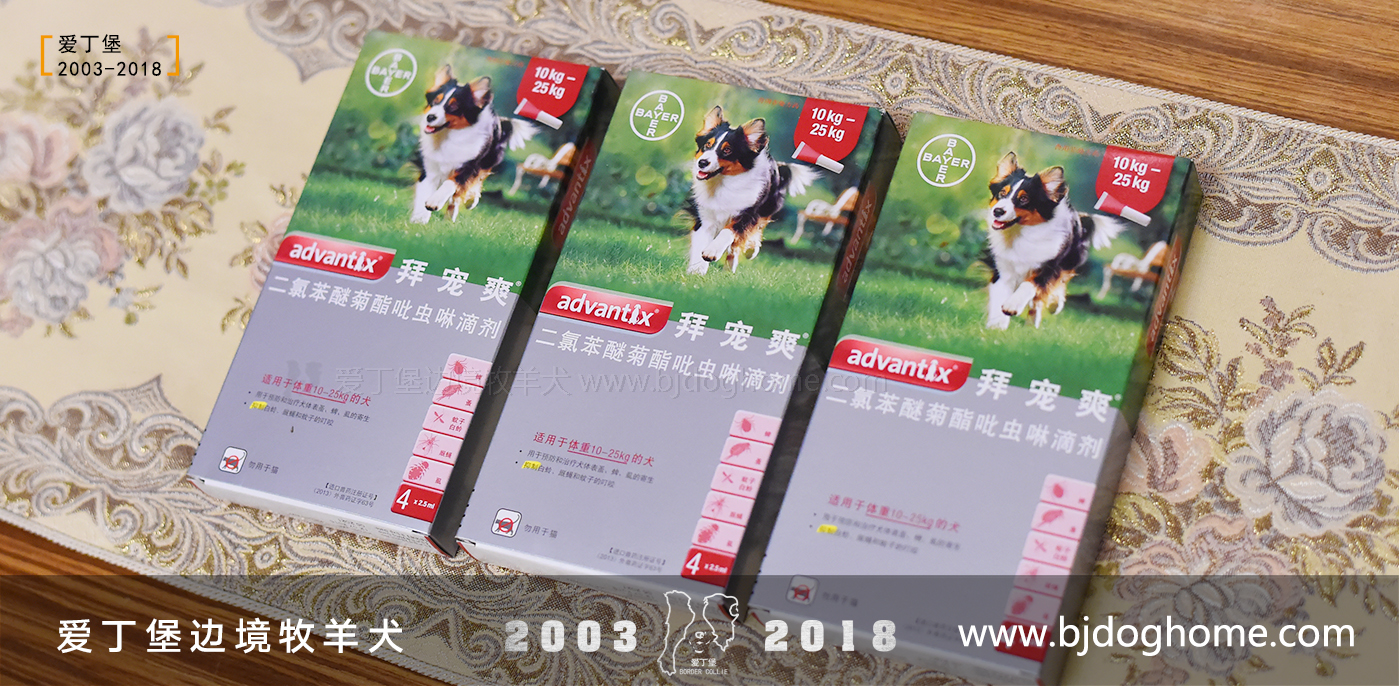 【边境牧羊犬百科】如何进行体内\/体外驱虫